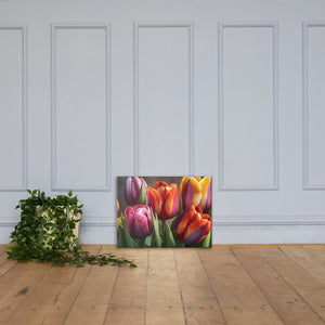 Colorful Tulips Canvas