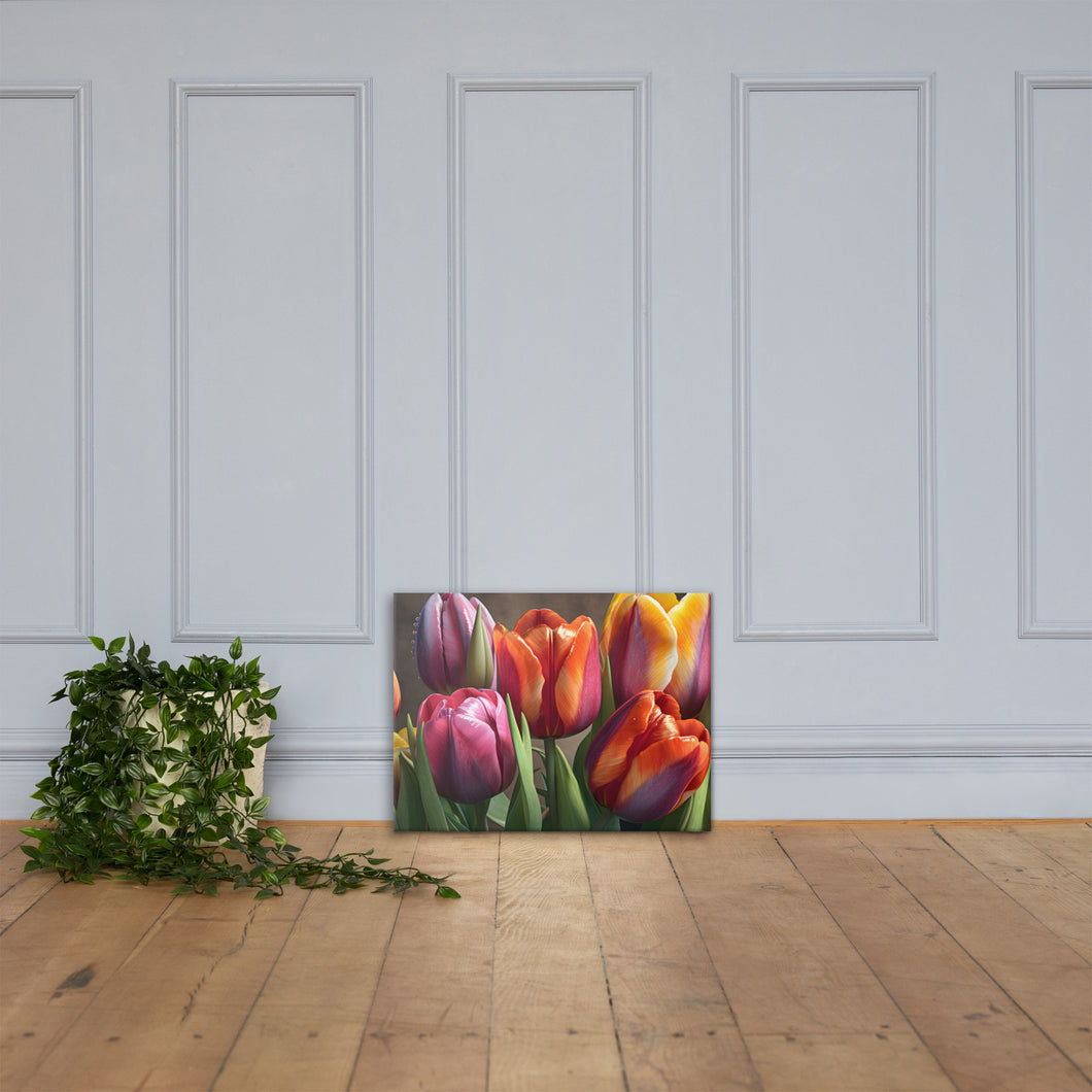 Colorful Tulips Canvas